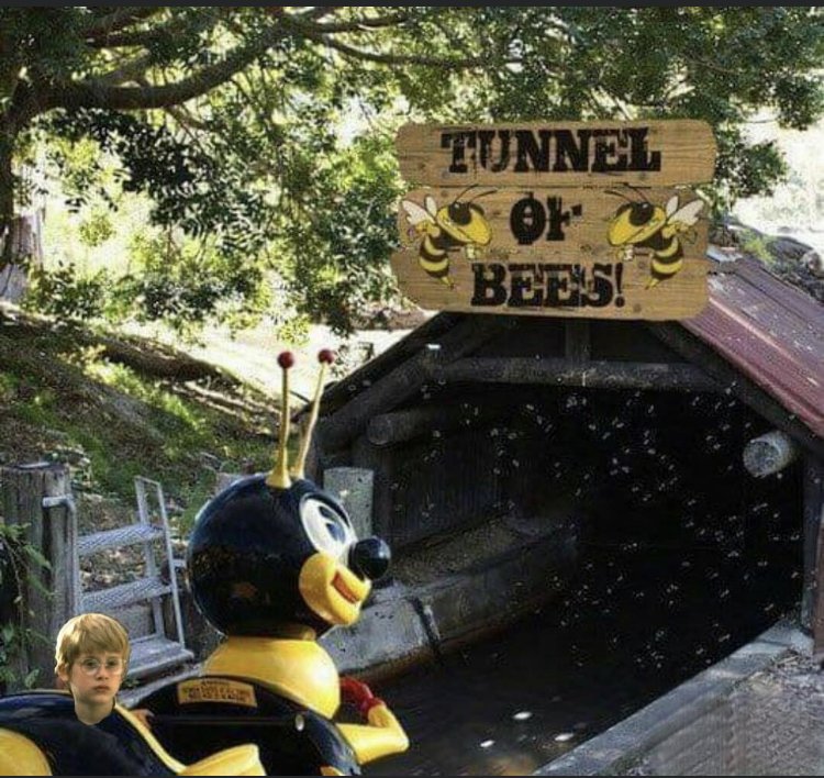 32756