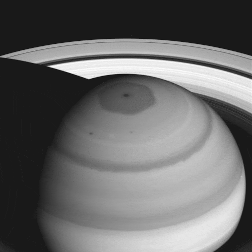 22F5819D-C826-4295-99C1-A359576F1E9F.gif