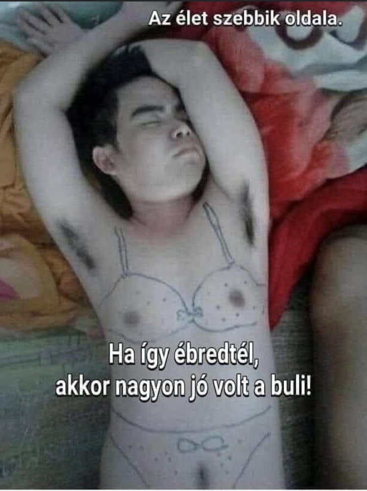 33626