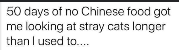 29331
