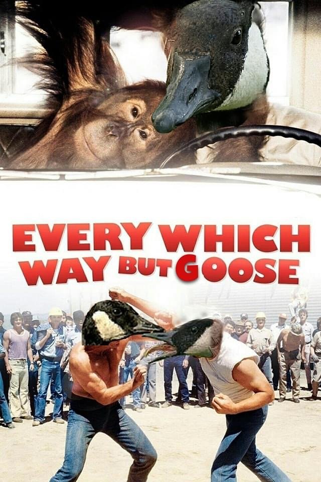 38340