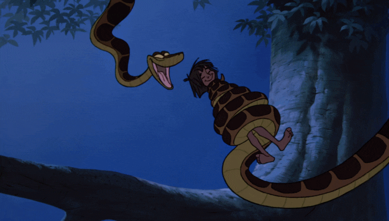 2830A574-48D5-4D3D-9634-097333B756F5.gif