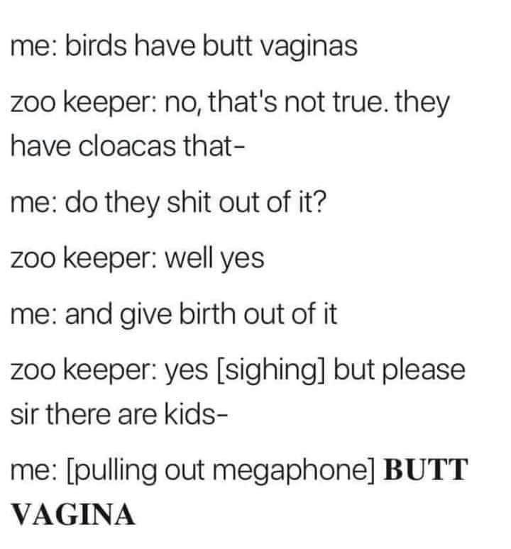 43204