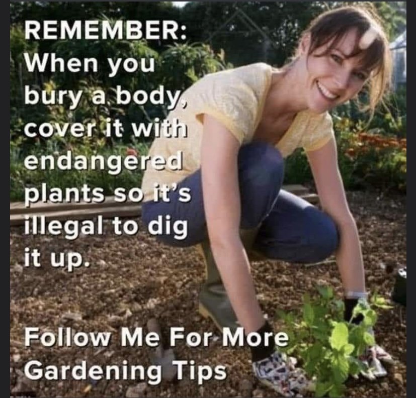 2DD4476F-991B-4668-8A8B-BF40FD9D564B.jpeg