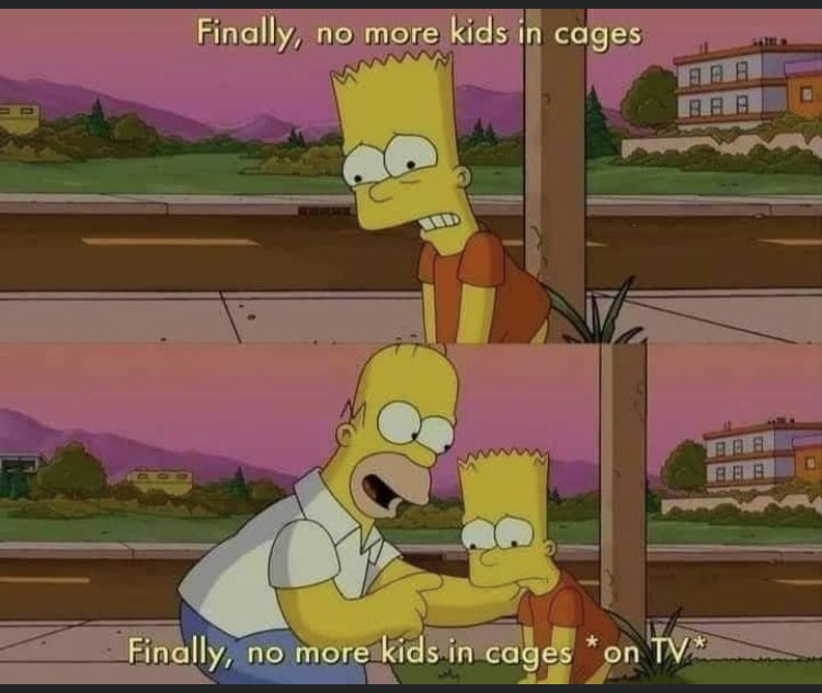 26242