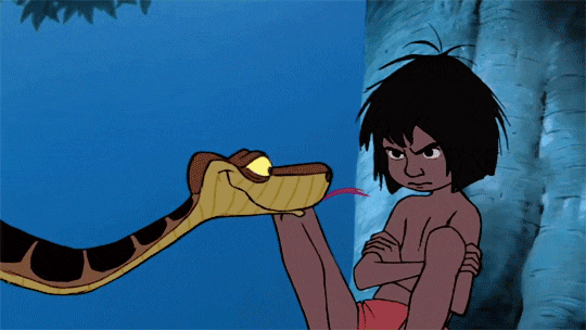 30888468-F3BE-41EC-B0F4-2789F2F9B023.gif