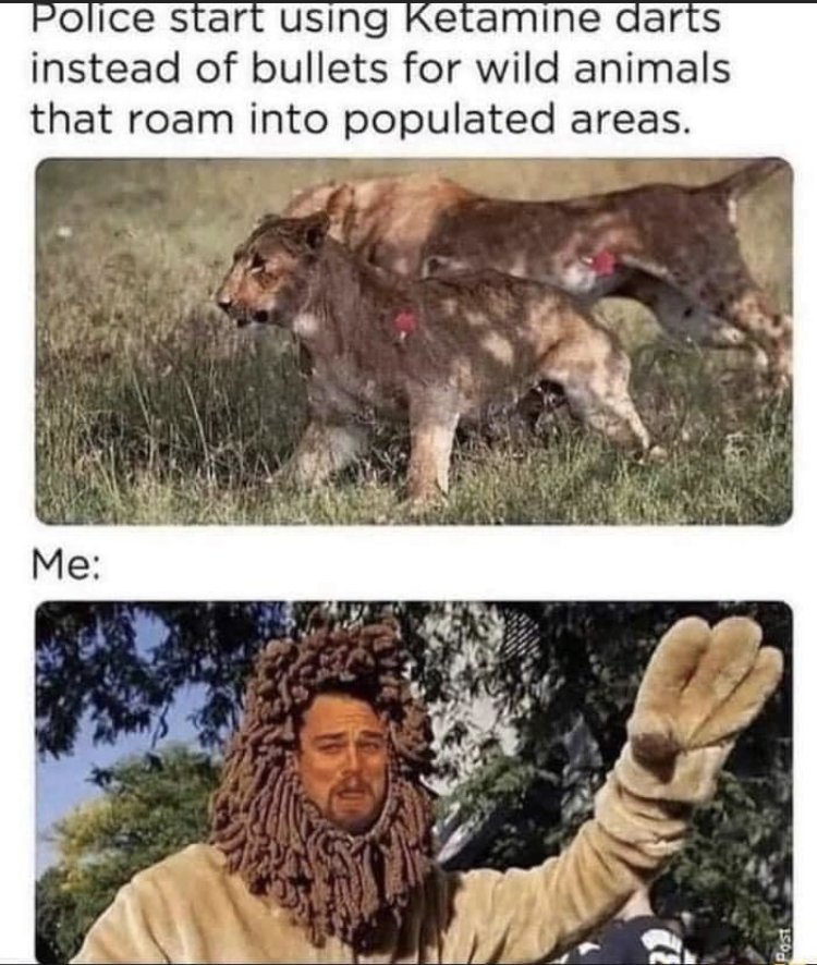33935