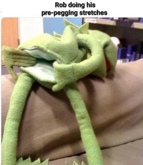 355.jpg