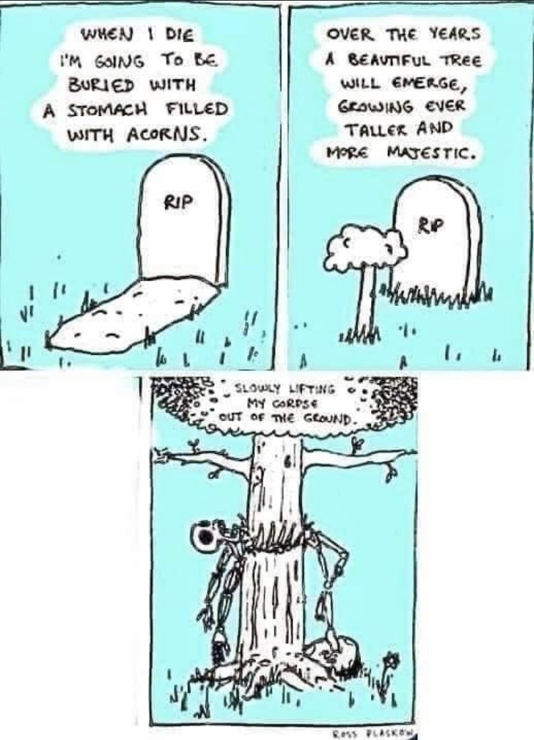 30252