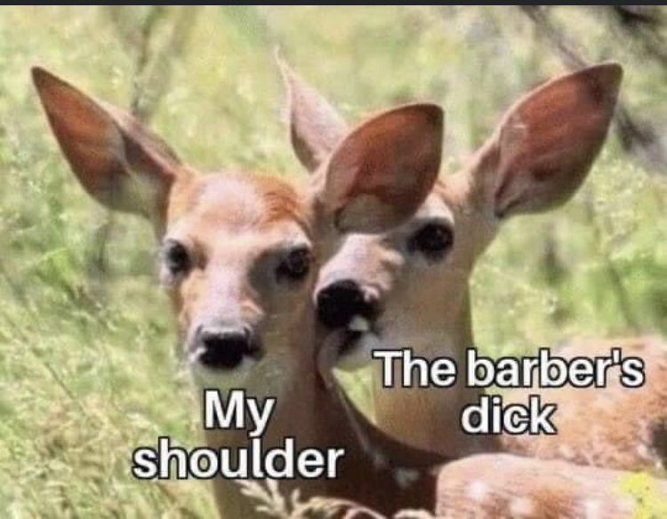 30058