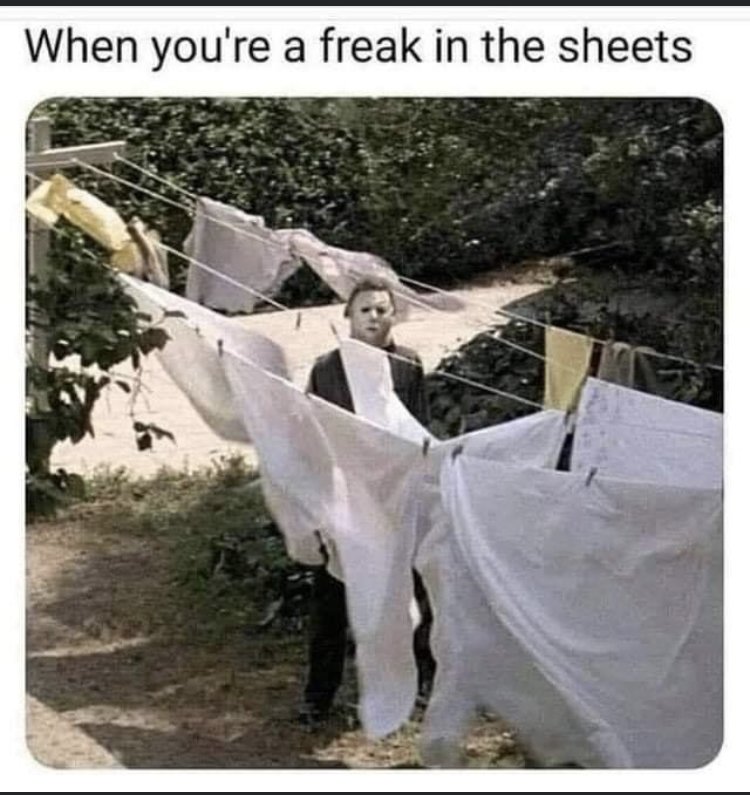 31376