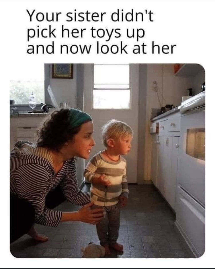 29037