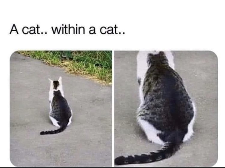 30435