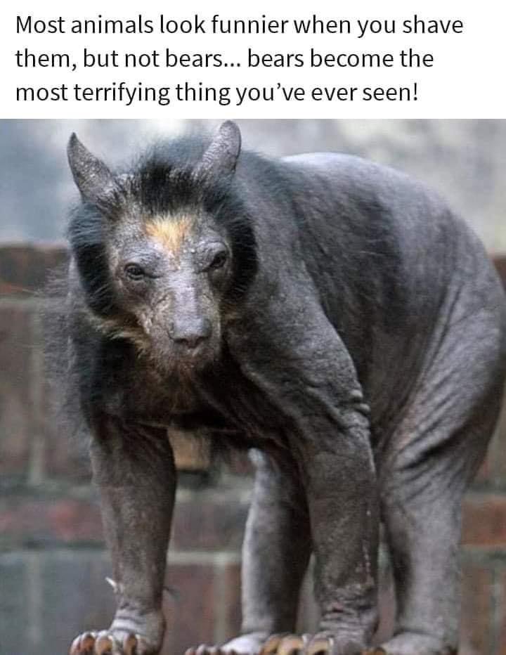40999