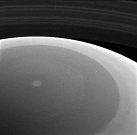 3FA4556D-A567-4CDB-9C79-8DE34EC8D164.gif