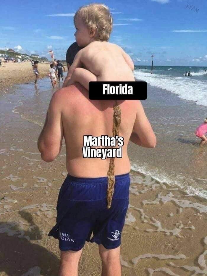 42664