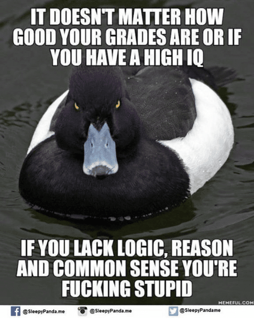 42D6F887-C14D-4EDE-B3DC-B4B783E90984.png
