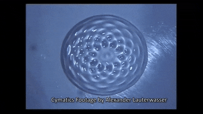 43975AC6-891A-44FE-B5A9-F30275703D01.gif