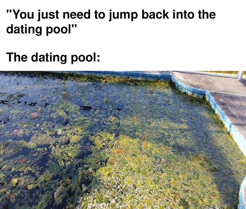 39353