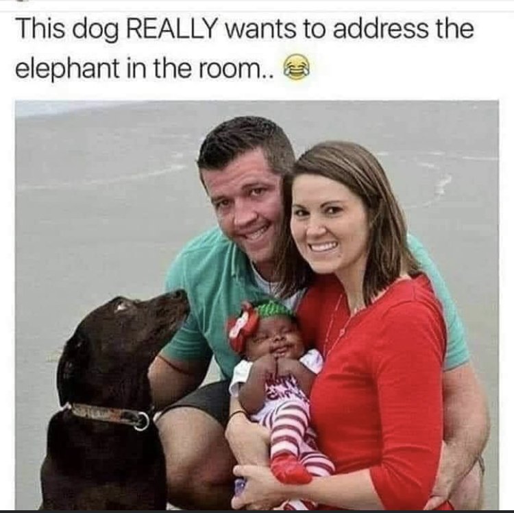 26356