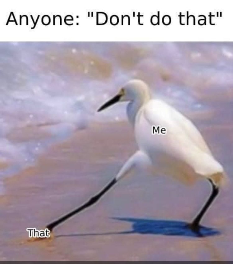 26534