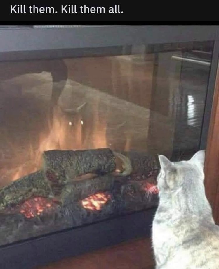 26664