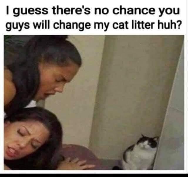 42252