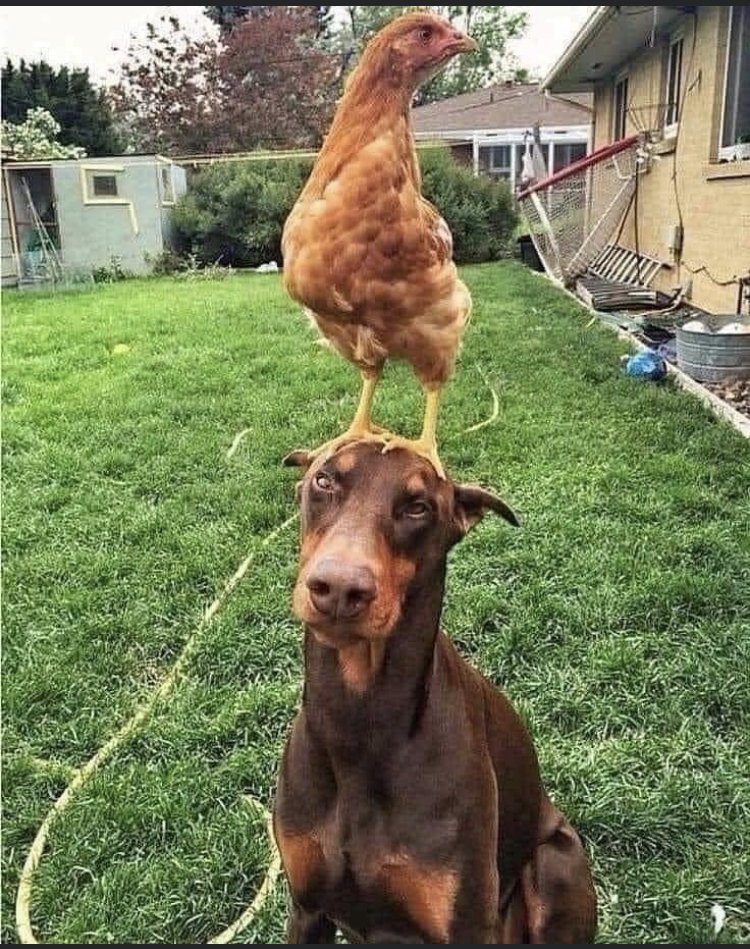 28790