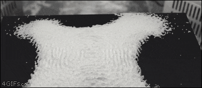 58813363-110C-4E6D-BDE1-6D37B2DD7609.gif
