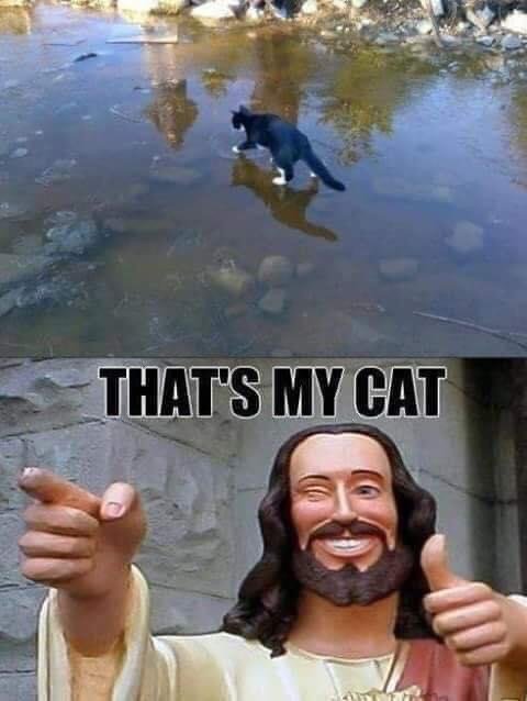 5C9004FE-5178-459D-93A9-1CF14BF93929.jpeg