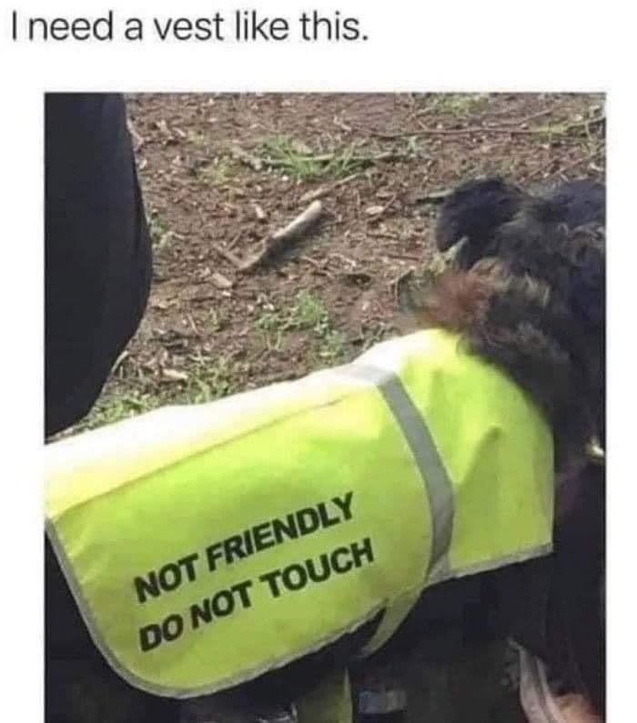 41370