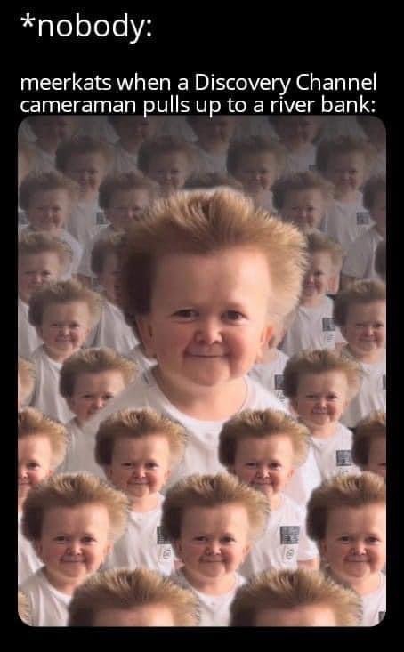 43507
