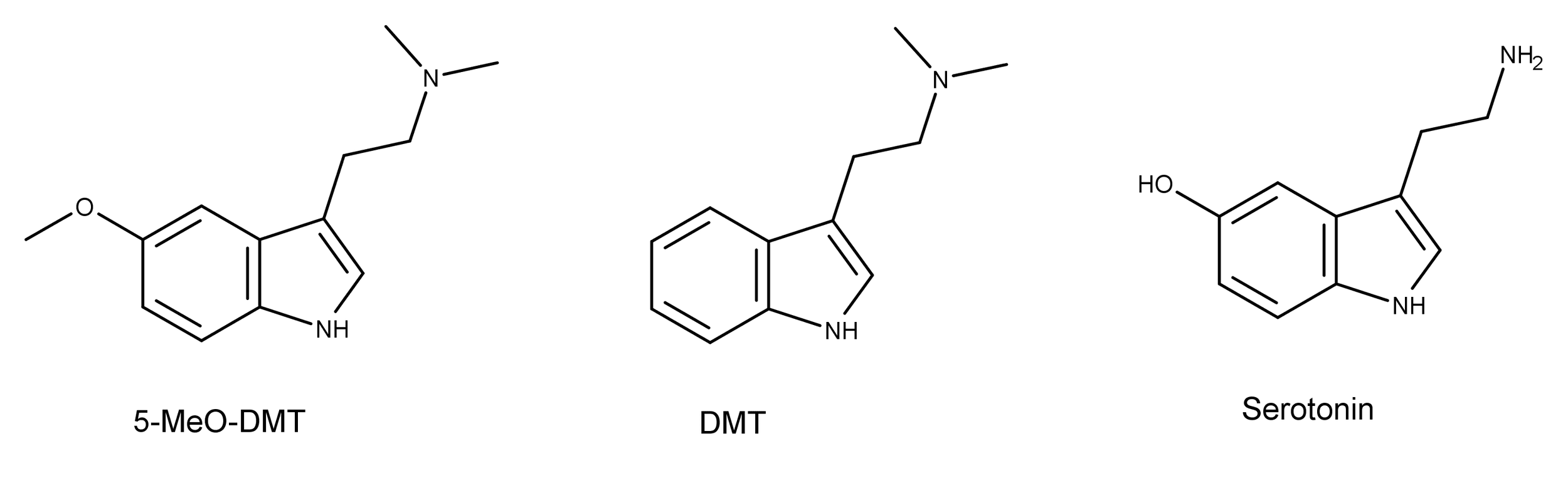621C1060-1D32-4BA0-B952-7B00EAB438B3.png