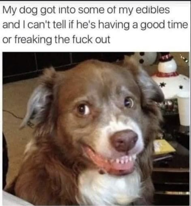 30090