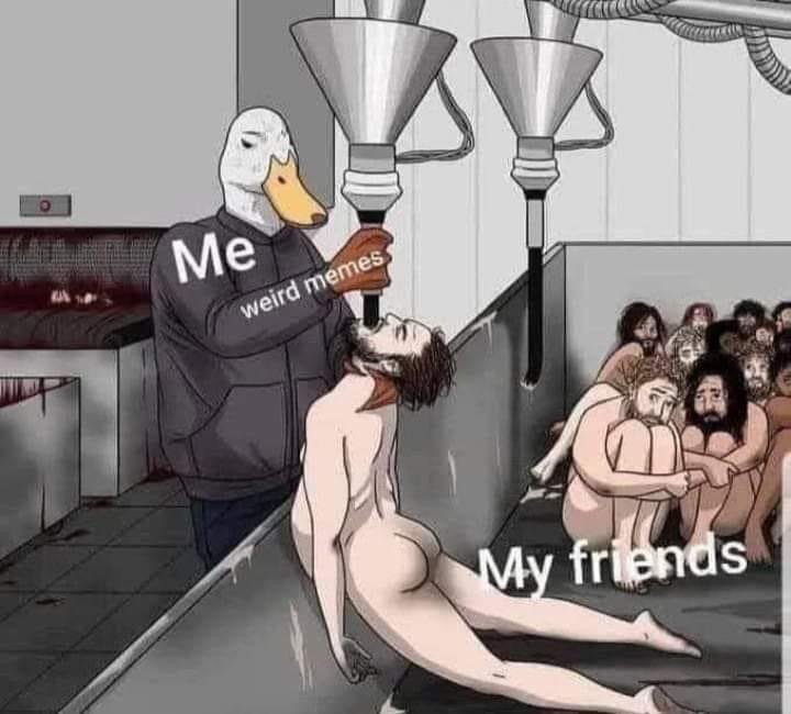 44981