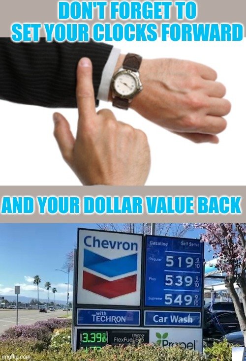 36541
