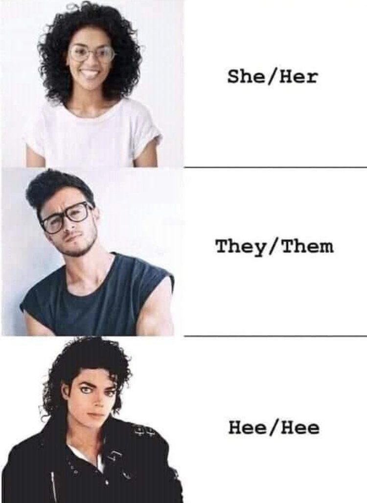 29338