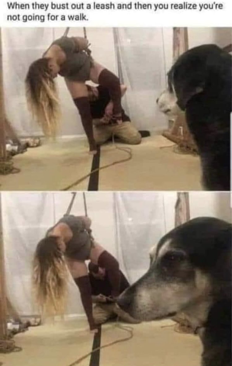 29952