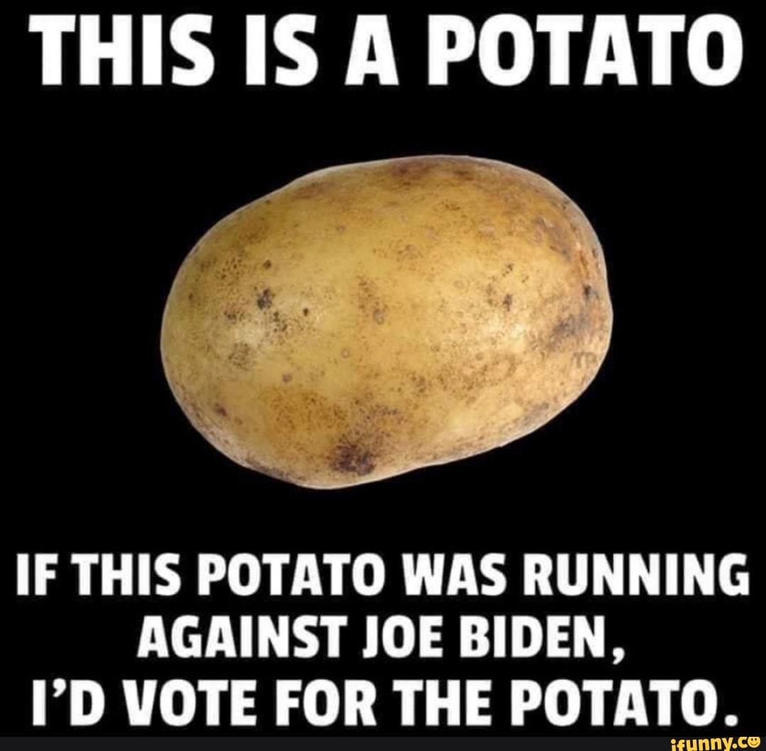 6b3cc8529cb437f1dff1dd11b6a3e90096725f31e16a1772b528154ec9818ea4_1-4262161669.jpg