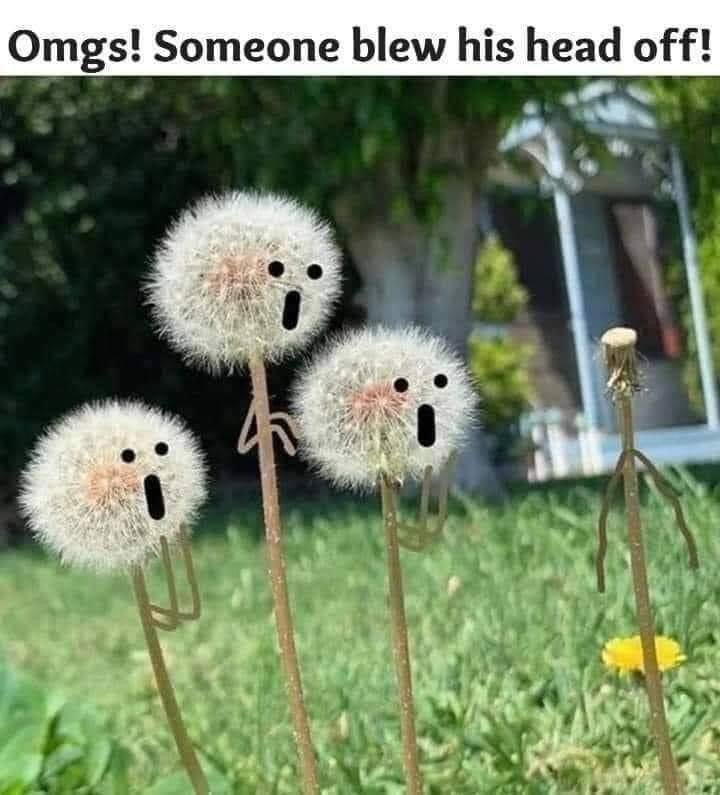 41000