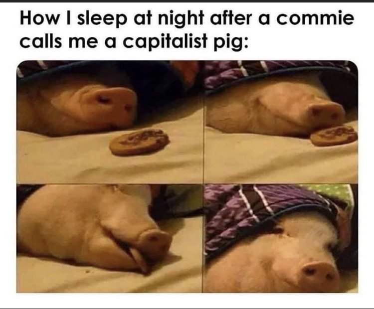 28786