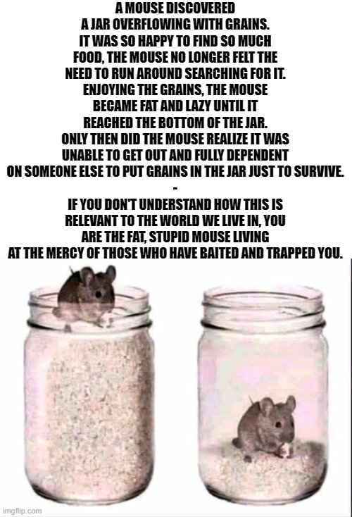 37629