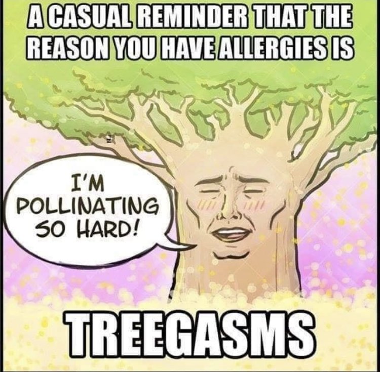 27453