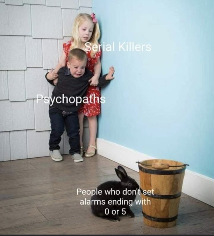 31373