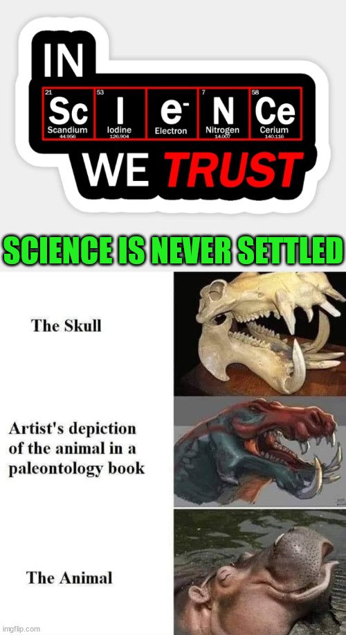 40356