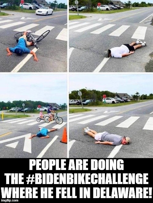 40333