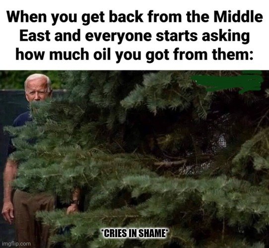 40334