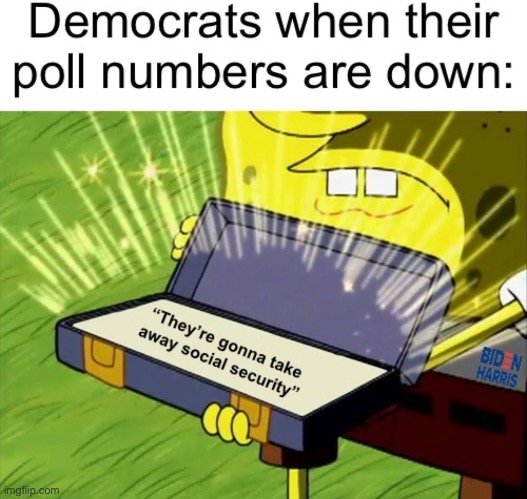 43849