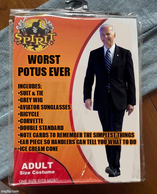 43981