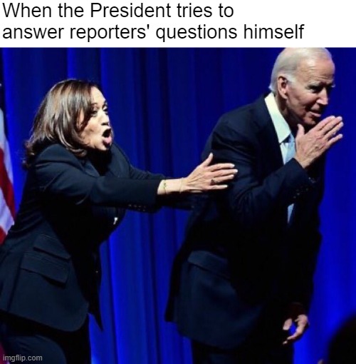 44117
